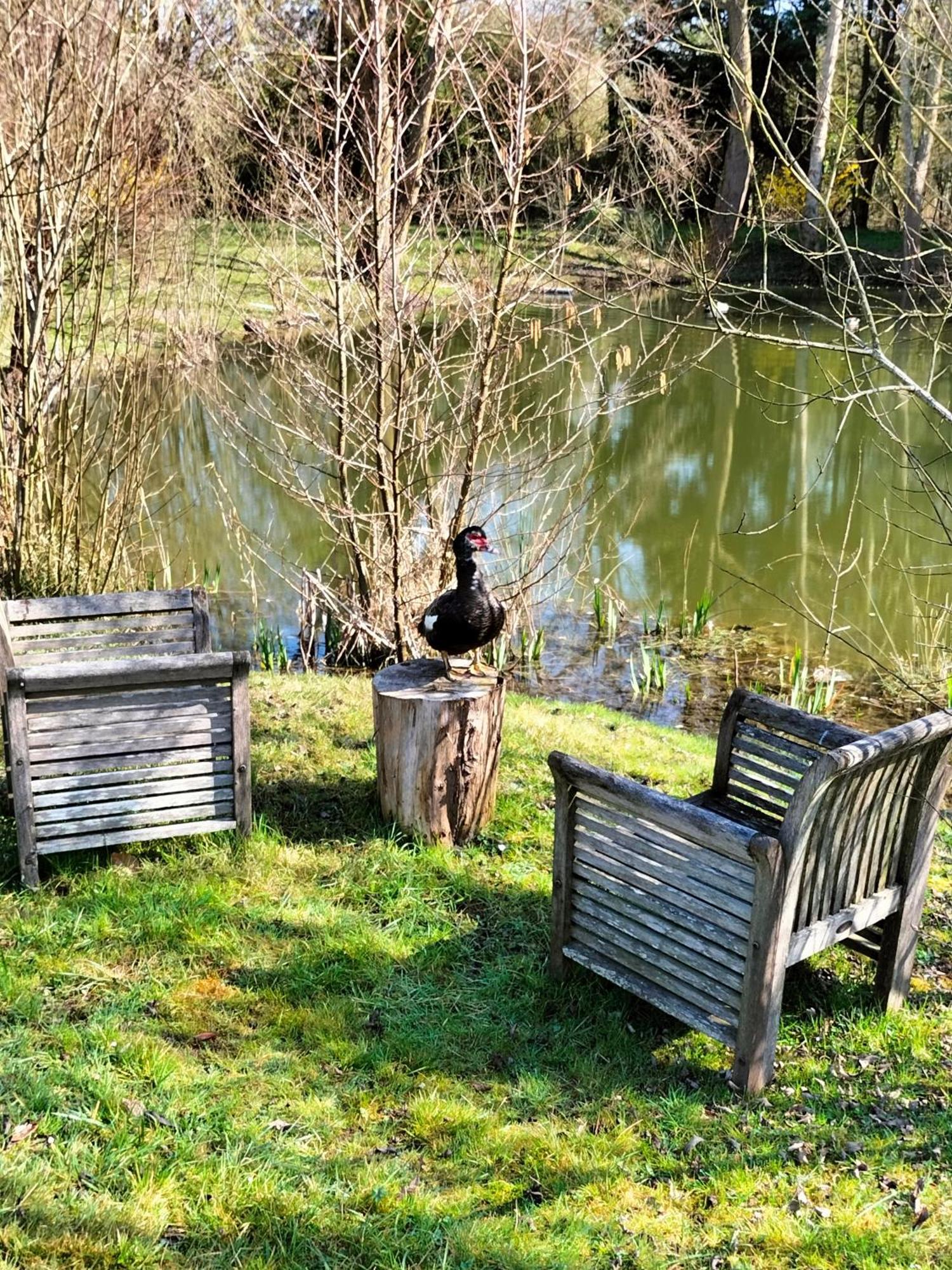 La Mouillere Panzió Verton Kültér fotó